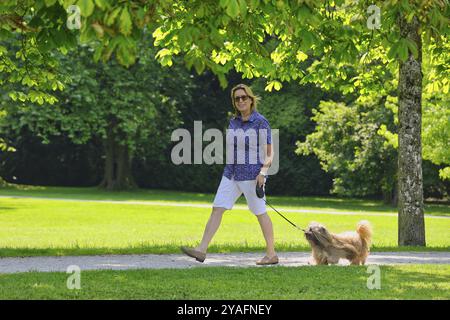 Die Frau nimmt Lhasa Apso mit auf einen Spaziergang im Park Stockfoto