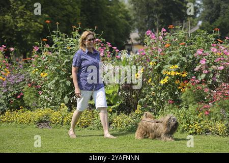 Die Frau nimmt Lhasa Apso mit auf einen Spaziergang im Park Stockfoto