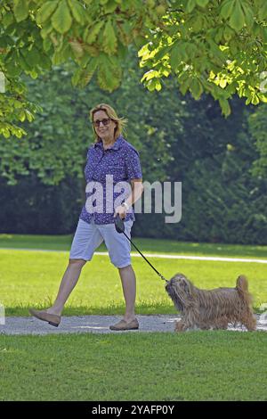 Die Frau nimmt Lhasa Apso mit auf einen Spaziergang im Park Stockfoto