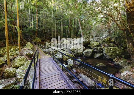 Kondalilla Falls Circuit an den Kondalilla Falls im Kondalilla National Park an einem warmen, sonnigen Wintertag in der Nähe von Montville in Queensland, Australien, Ozeanien Stockfoto