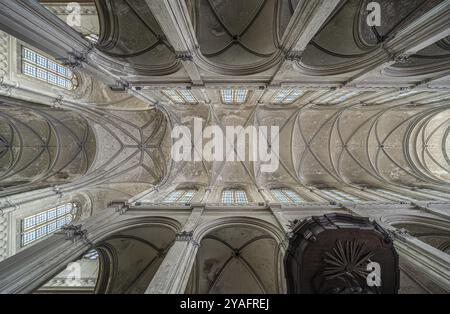 Stadtzentrum von Brüssel, Region Brüssel-Hauptstadt, Belgien, 06 20 2020 Blick auf die dekorierte Decke der Kirche St. Katharina, Europa Stockfoto