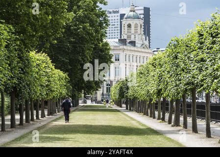 Brüssel Altstadt, Belgien, 06 17 2020 Menschen, die im Parc de Bruxelles, Warandepark im Sommer, Europa spazieren und sich unterhalten Stockfoto