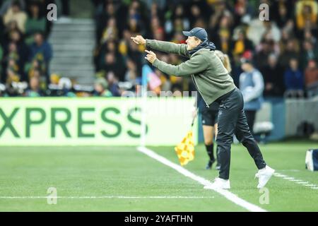 MELBOURNE, AUSTRALIEN, JULI 31: Tony Gustavsson, australischer Cheftrainer Matildas, ruft Anweisungen, während Australien beim FIFA Women's Wor gegen Kanada spielt Stockfoto