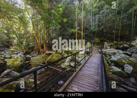 Kondalilla Falls Circuit an den Kondalilla Falls im Kondalilla National Park an einem warmen, sonnigen Wintertag in der Nähe von Montville in Queensland, Australien, Ozeanien Stockfoto