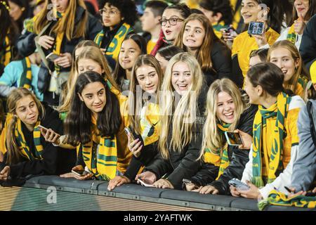 MELBOURNE, AUSTRALIEN, 14. JULI: Fans beim Freundschaftsspiel Australien gegen Frankreich 2023 am 14. Juli 2023 Stockfoto