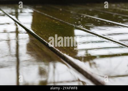 Nasse Oberfläche aus abgenutztem tropischem Holz mit grünem Moos, aufgenommen auf einer heimischen Terrasse Stockfoto