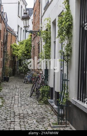 Brüssel Altstadt, Belgien, 06 07 2019, die enge mittelalterliche Rue de la Cigogne, Ooievaarstraat, Storchenstraße mit Kopfsteinpflastersteinen und kleinen Häusern, Europa Stockfoto