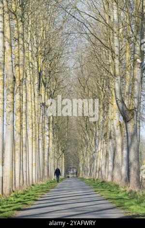 Meise, Flämisch Brabant Region, Belgien, 03 06 2022: Baumweg und Wanderweg zum Schloss Imde, Europa Stockfoto