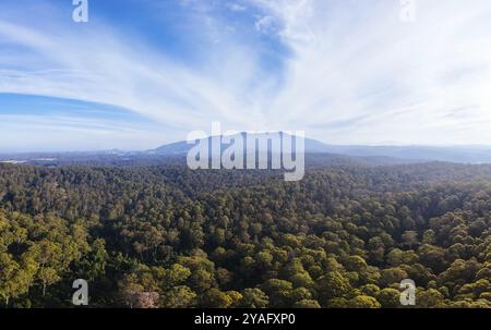 Luftaufnahme in der Nähe von Central Tilba des Mount Dromedary im Gulaga National Park in New South Wales, Australien, Ozeanien Stockfoto