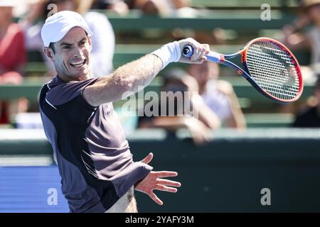 MELBOURNE, AUSTRALIEN, 11. JANUAR: Sir Andy Murray aus Großbritannien auf dem Weg, Dominic Thiem von Österreich am zweiten Tag des Kooyong C 2024 zu besiegen Stockfoto