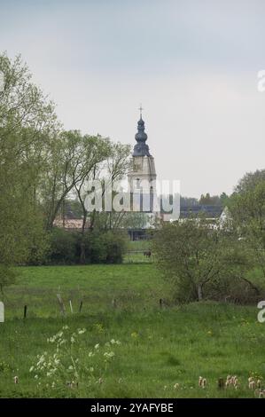 Grüner Rasen, Bäume und der Turm des Rathauses im Hintergrund, Dendermonde, Ostflandern, Belgien, Europa Stockfoto