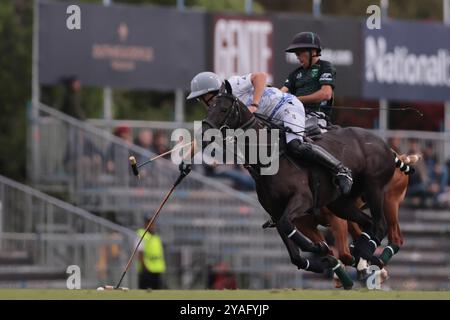 Tortugitas, Buenos Aires - 13. Oktober 2024: In der zweiten Runde der 84. Tortugas Country Club Open, präsentiert von Jumbo, triumphierte La Dolfina Saudi mit einem Sieg von 17-13 auf Feld 5 über La Hache Cría & Polo. Gonzalo Ferrari trat für den verletzten Adolfito Cambiaso ein, und La Dolfina fand ihren Rhythmus vom zweiten Chukker, gewann ihn 4-0 und übernahm die Kontrolle über das Spiel. Poroto Cambiaso stieß mit 8 Toren (sechs im Elfmeterschießen) auf, während Pelón Stirling und Juan M. Nero zu einer starken Teamleistung beitrugen. Quelle: UNAR Photo/Alamy Live News Stockfoto