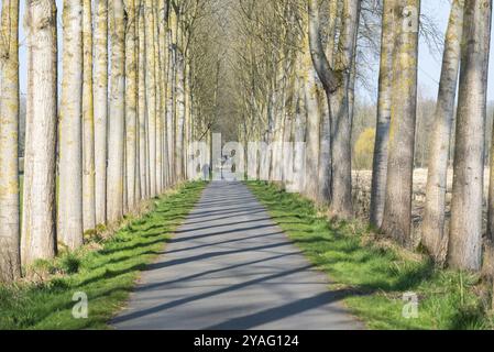 Meise, Flämisch Brabant Region, Belgien, 03 06 2022: Baumweg und Wanderweg zum Schloss Imde, Europa Stockfoto