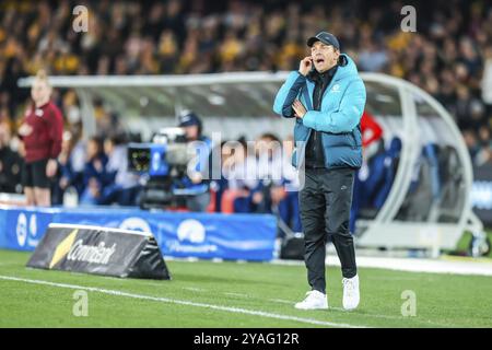 MELBOURNE, AUSTRALIEN, 14. JULI: Tony Gustavsson, Cheftrainer von Australia Matildas, während Australien bei der Weltmeisterschaft 2023 gegen Frankreich spielt Stockfoto