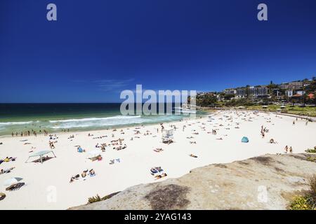 SYDNEY, AUSTRALIEN, 05. DEZEMBER 2023: Blick in Richtung Bronte Beach von einem warmen Sommertag in Sydney, New South Wales, Australien, Ozeanien Stockfoto