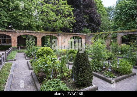 Anderlecht, Region Brüssel-Hauptstadt, Belgien, 06 11 2022, die medizinischen Gärten des Erasmus-Hauses, Europa Stockfoto