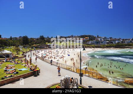 SYDNEY, AUSTRALIEN, 05. DEZEMBER 2023: Blick in Richtung Bronte Beach von einem warmen Sommertag in Sydney, New South Wales, Australien, Ozeanien Stockfoto