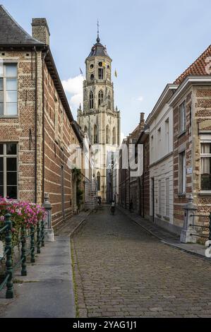 Lier, Provinz Antwerpen, Belgien, 07 08 2022, der historische Fischmarkt in der Altstadt an einem heißen Sommertag, Europa Stockfoto