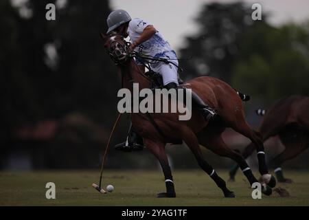 Tortugitas, Buenos Aires - 13. Oktober 2024: In der zweiten Runde der 84. Tortugas Country Club Open, präsentiert von Jumbo, triumphierte La Dolfina Saudi mit einem Sieg von 17-13 auf Feld 5 über La Hache Cría & Polo. Gonzalo Ferrari trat für den verletzten Adolfito Cambiaso ein, und La Dolfina fand ihren Rhythmus vom zweiten Chukker, gewann ihn 4-0 und übernahm die Kontrolle über das Spiel. Poroto Cambiaso stieß mit 8 Toren (sechs im Elfmeterschießen) auf, während Pelón Stirling und Juan M. Nero zu einer starken Teamleistung beitrugen. Quelle: UNAR Photo/Alamy Live News Stockfoto