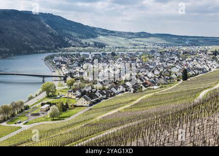 Mehring, Rheinland-Pfalz, Deutschland, 04 12 2019, Blick über das Dorf Mehring mit der sich schlängelnden Mosel, umgeben von Weinbergen auf der Stockfoto