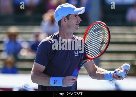 MELBOURNE, AUSTRALIEN, 11. JANUAR: Sir Andy Murray aus Großbritannien auf dem Weg, Dominic Thiem von Österreich am zweiten Tag des Kooyong C 2024 zu besiegen Stockfoto