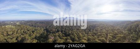 Luftaufnahme in der Nähe von Central Tilba des Mount Dromedary im Gulaga National Park in New South Wales, Australien, Ozeanien Stockfoto