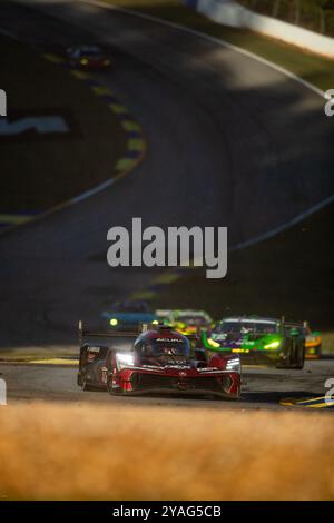 40 TAYLOR Jordan (usa), DELETRAZ Louis (che), HERTA Colton (usa), BUTTON Jenson (gbr), Wayne Taylor Racing mit Andretti, Acura ARX-06, Action während der Motul Petit Le Mans 2024, 11. Runde der IMSA Sportscar Championship 2024, vom 10. Bis 12. Oktober 2024 auf der Michelin Raceway Road Atlanta in Braselton, Georgia, Vereinigte Staaten von Amerika - Foto: DPPI Live News Stockfoto