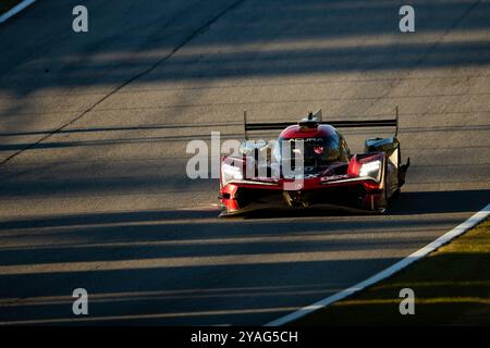 40 TAYLOR Jordan (usa), DELETRAZ Louis (che), HERTA Colton (usa), BUTTON Jenson (gbr), Wayne Taylor Racing mit Andretti, Acura ARX-06, Action während der Motul Petit Le Mans 2024, 11. Runde der IMSA Sportscar Championship 2024, vom 10. Bis 12. Oktober 2024 auf der Michelin Raceway Road Atlanta in Braselton, Georgia, Vereinigte Staaten von Amerika - Foto: DPPI Live News Stockfoto