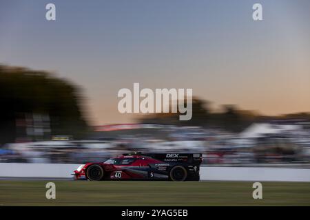 40 TAYLOR Jordan (usa), DELETRAZ Louis (che), HERTA Colton (usa), BUTTON Jenson (gbr), Wayne Taylor Racing mit Andretti, Acura ARX-06, Action während der Motul Petit Le Mans 2024, 11. Runde der IMSA Sportscar Championship 2024, vom 10. Bis 12. Oktober 2024 auf der Michelin Raceway Road Atlanta in Braselton, Georgia, Vereinigte Staaten von Amerika - Foto: DPPI Live News Stockfoto