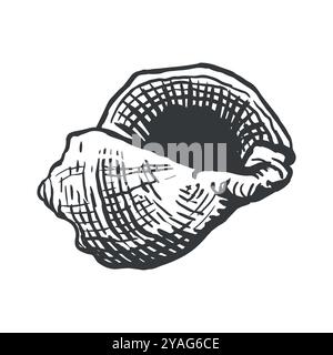 Spiralförmige Muschel. Stock Vektor