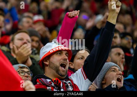 Österreichische Fußballfans während des UEFA Nations League Fußballspiels zwischen Österreich gegen Norwegen, am Sonntag 13. Oktober 2024 in der Raiffeisen Arena in Linz // österreichische Fußballfans beim Fußball-Spiel der UEFA Nations League zwischen Österreich und Norwegen am Sonntag, den 13. Oktober 2024 in der Raiffeisen Arena in Linz. - 20241013 PD10130 Credit: APA-PictureDesk/Alamy Live News Stockfoto