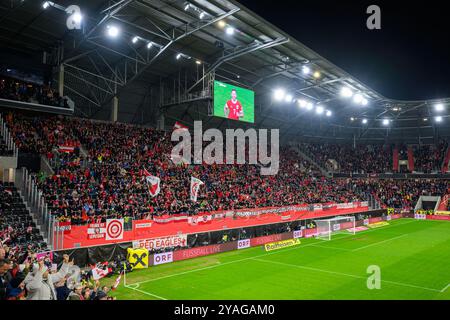 Österreichische Fußballfans bejubelt das 1:0 durch Marko Arnautovic während des UEFA Nations League Fußballspiels zwischen Österreich gegen Norwegen, am Sonntag 13. Oktober 2024 in der Raiffeisen Arena in Linz, Österreich // österreichische Fußballfans feiern das 1-0 von Marko Arnautovi während des Fußballspiels der UEFA Nations League zwischen Österreich und Norwegen am Sonntag, den 13. Oktober 2024, in der Raiffeisen Arena in Linz, Österreich. - 20241013 PD7540 Credit: APA-PictureDesk/Alamy Live News Stockfoto