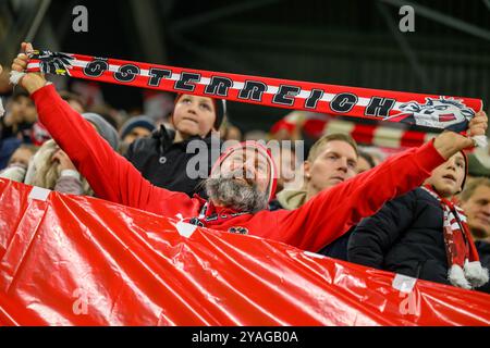 Österreichische Fußballfans während des UEFA Nations League Fußballspiels zwischen Österreich gegen Norwegen, am Sonntag 13. Oktober 2024 in der Raiffeisen Arena in Linz // österreichische Fußballfans beim Fußball-Spiel der UEFA Nations League zwischen Österreich und Norwegen am Sonntag, den 13. Oktober 2024 in der Raiffeisen Arena in Linz. - 20241013 PD6803 Credit: APA-PictureDesk/Alamy Live News Stockfoto