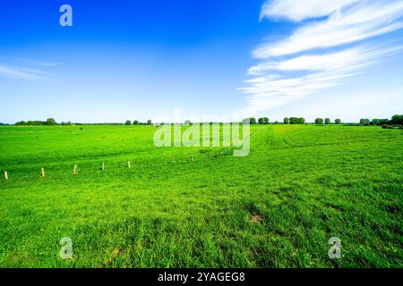 Landschaft auf der Bislichen Insel bei Xanten im Stadtteil Wesel. Naturschutzgebiet auf der Auenlandschaft am Niederrhein. Stockfoto