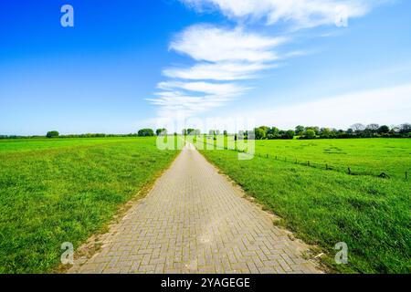 Landschaft auf der Bislichen Insel bei Xanten im Stadtteil Wesel. Naturschutzgebiet auf der Auenlandschaft am Niederrhein. Stockfoto