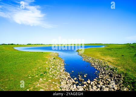 Landschaft auf der Bislichen Insel bei Xanten im Stadtteil Wesel. Naturschutzgebiet auf der Auenlandschaft am Niederrhein. Stockfoto