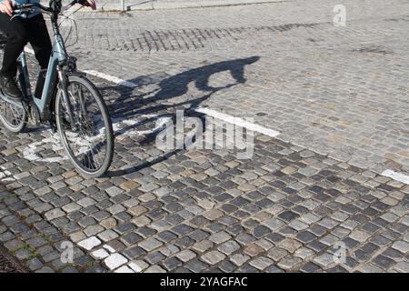 Ein Radfahrer fährt am Mittwoch 09.10.2024 in Waren Müritz Landkreis Mecklenburgische Seenplatte am örtlichen Stadthafen mit seinem Rad den Radweg entlang. Um die Verkehrswende in Deutschland weiter voranbringen gilt es u.a. das Radwegenetz in den Städten weiter auszubauen. Dahingehend investiert das Land Mecklenburg Vorpommern seit Jahren in seine Radwege. So wurden allein im Jahr 2023 schnell 16 Millionen Euro in Radwege an Landesstraßen investiert. *** Ein Radfahrer fährt am Mittwoch 09 10 2024 auf dem Radweg am Stadthafen in Waren Müritz, Mecklenburgische Seenplatte Stockfoto