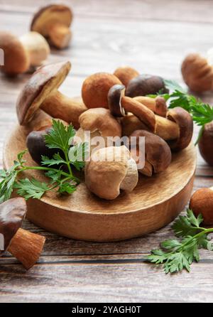 Eine Vielzahl frischer Pilze werden auf einem Holzteller künstlerisch präsentiert, umgeben von Zweigen grüner Kräuter in einem gemütlichen Küchenambiente. Stockfoto