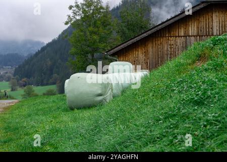 Ansicht von Heuhaufen in Polyethylen verpackt, Heu erntet für den Winter. Stockfoto