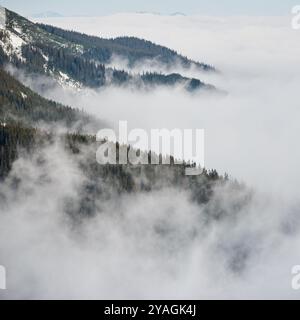 Berglandschaft bedeckt mit dicker Nebelschicht. Immergrüne Waldgipfel tauchen aus Nebel hervor und schaffen eine mystische und ruhige Szene. Ferne Berge versinken in wolkenbedeckten Horizont. Stockfoto