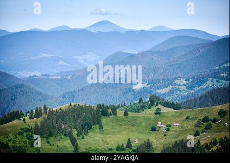 Ruhige Schönheit der sanften Berge, die von üppigen Wäldern bedeckt sind, mit verstreuten grünen Wiesen und kleinen ländlichen Häusern. Bergschichten erstrecken sich bis in die Ferne und schaffen eine malerische Landschaft. Stockfoto