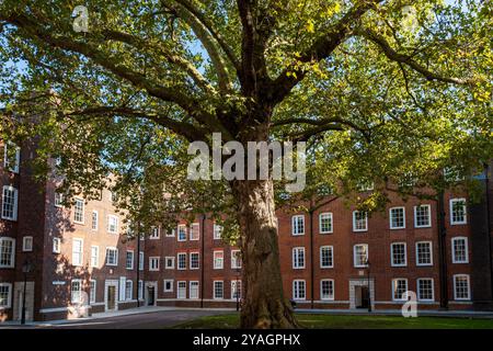 London, New Square, Lincoln's Inn, Temple Stockfoto