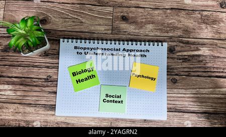Biopsychosoziale Ansatz zum Verständnis der Methode Text mit Keywords auf dem Whiteboard Hintergrund isoliert. Diagramm oder Mechanismus Konzept. Stockfoto