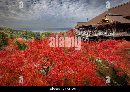 kiyomizu dera Tempel, umgeben von roten Ahornbäumen Herbst, kyoto, japan Stockfoto