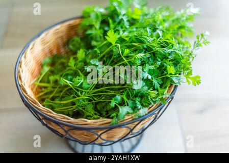 Ein Korb gefüllt mit frischem grünem Koriander, auf einer Küchenzeile. Stockfoto