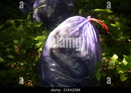 Reinigung im Freien. Umweltschutz. Stockfoto