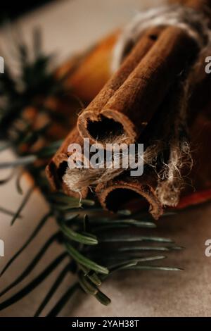 Zimtstangen mit einem Weihnachtsbaumzweig Stockfoto
