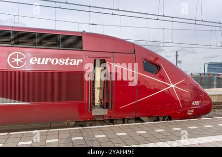 Amsterdam, Niederlande, 13.10.2024, Eurostar-Zug am Hauptbahnhof Amsterdam, Hochgeschwindigkeitszug der Eurostar-Gruppe Stockfoto