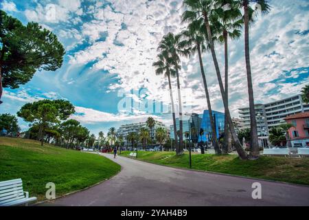 Wunderbarer Park im rechten Teil der Promenade des Anglais mit hohen Palmtrewes und beeindruckenden Kiefern. Das ist eine Straße zum Flughafen Nizza Cote D'Azur Stockfoto