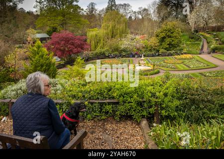 Großbritannien, England, Shropshire, Shrewsbury, Quarry Park, der Dingle Stockfoto